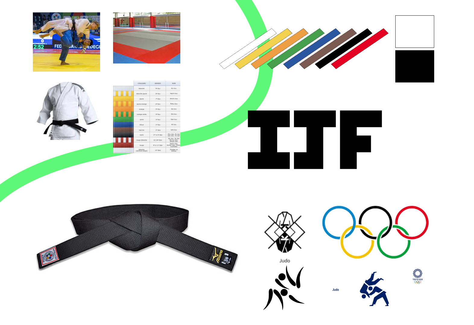 Refonte logo IJF - Image 3